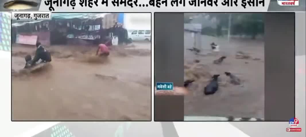 गुजरात में जूनागढ़ में आ रही है काफी बाढ़ मैं बह रहे हैं जानवर और इंसान﻿#tazaa_khabar#देहरादून 
#रुड़की #भगवानपुर