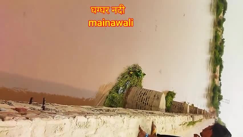 घग्घर नदी में पानी की मात्रा   #public #foryou #news #topnews #follow #followme #video #bignews #publicnews