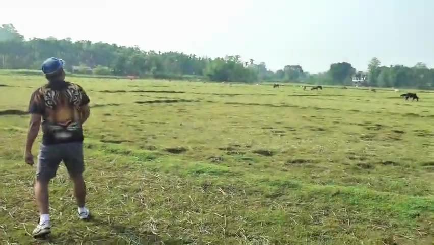 MTA Throwing in The Wild Areas of West Bengal, BUXA #TigerReserve, Famous For its #Elephants.... Though We Didn't Get to See Any, But Footprints👣 They Left Behind Each Night Were Right There For Us to See The Next Morning..