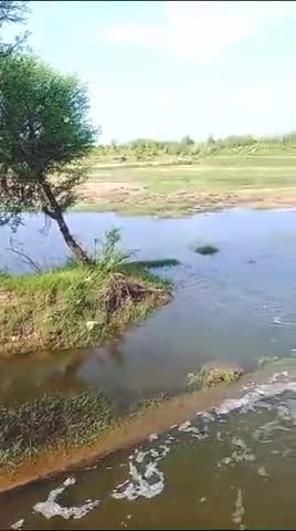 पीपलू: पीपलू में सिसोला एनिकट की चादर हो रही है कम #टोंक #पीपलू #मौसम
