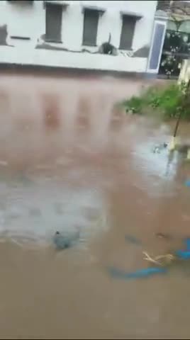 नवलगढ़ में बारिश से हाल बेहाल

#Nawalgarh #Rain #NawalgarhNews