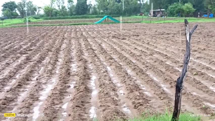 रेवदर क्षेत्र के निम्बोडा़ गांव में हुई बारिश व 
आज का मौसम 70-80%  तक है 
#news18india