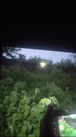 नेपानगर नर्सरी की दिवार पर देखा गया फिर से चिता इलाके को सतर्कता और शासन को जागरुकता की जरुरत