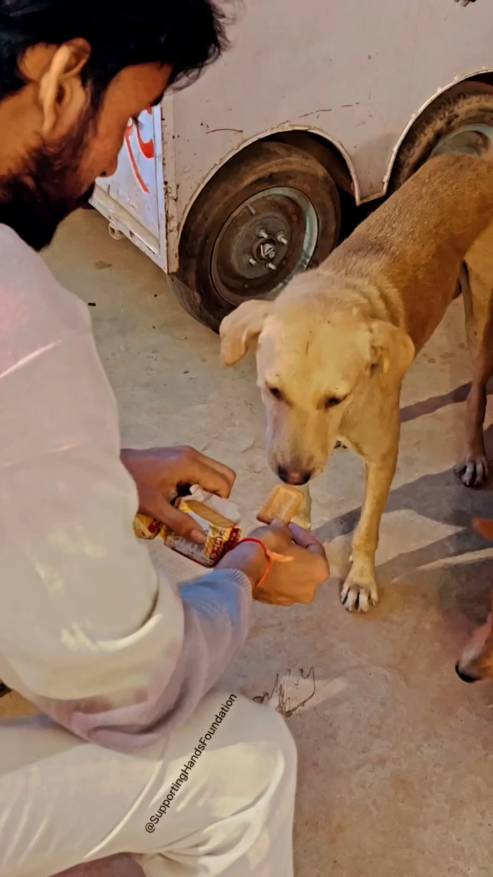 ग्वालियर गिर्द: it will take time one day i will be mine 😎

Respect Girls help poor 

#apsgurjar #SupportingHandsFoundation