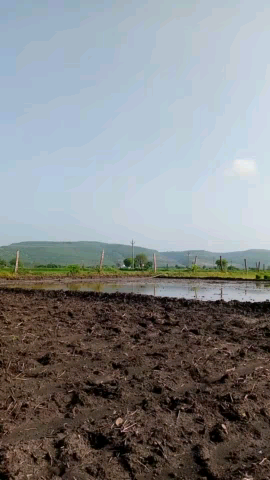 हिण्डोली: बारिश नही आने के कारण चावल की खेती में देरी , खेत खाली पड़े हुए है किसान करे तो करे क्या #kishanprotest #indianpolitic