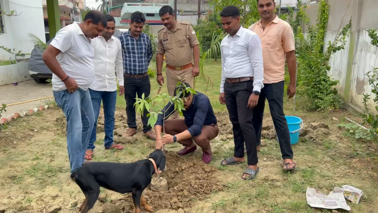 जन्म दिन पर वृक्षारोपण ,फलदार वृक्ष आम 🥭🌱🌴#anirudhasingh