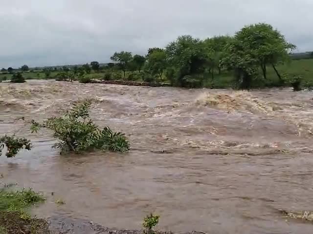 बटियागढ़: ग्राम अंजनी की टपरिया गाओ में हुए घमासान बारिश जिससे बहुत तेज बाढ़ आ गई है 
#damohnews #batiyagarh ़#raghavendra082