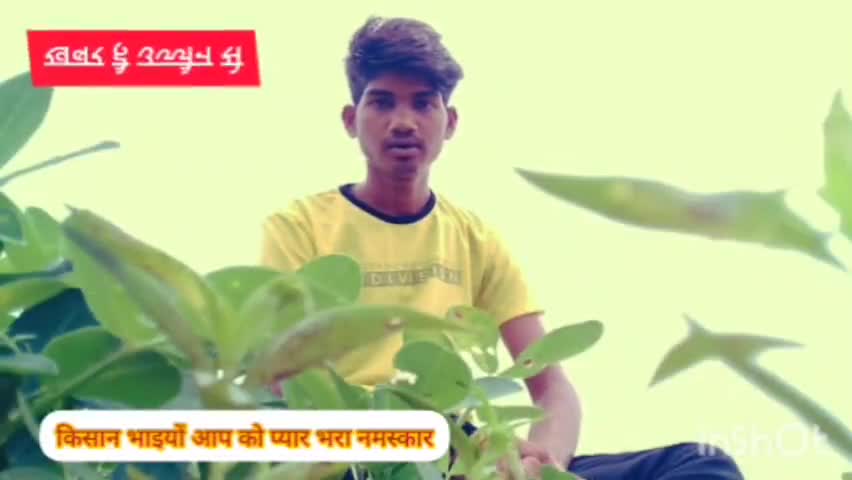 एक बड़ी खबर  है उज्जैन जिले से कि कुछ किसानों ने ऐसे हरवी साइट का यूज किया  फसल नष्ट हो चुकी है सैकड़ों #खेत खलिहान