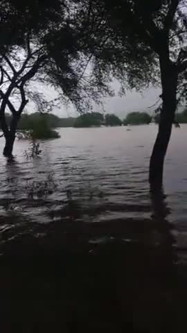 पाटन: mahuakheda patan #se bhi jyada Pani