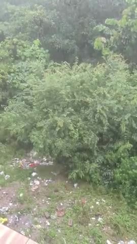 देहरादून के मसूरी में हो रही है मूसलाधार बारिश#dehradoon