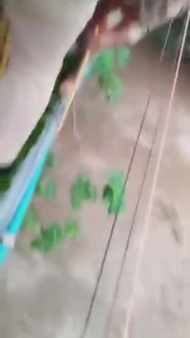 देहरादून में प्रेमनगर पुल के पास बरसाती नदी में आया पानी दो लोग फंसे देहरादून पुलिस ने बचाया #देहरादून #पुलिस