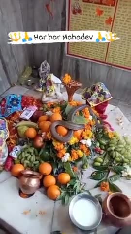 || ॐ हर हर महादेव ॐ ||#mahadev #mahadevstatus #mahadeva #mahadevlover #mahadevquotes #mahadevbhakt #trimohinisangam