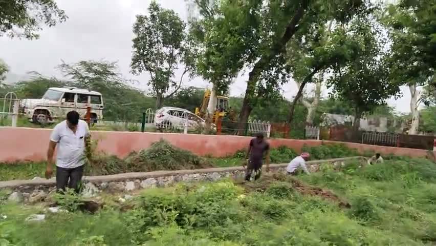 #टहला : तहसील क्षेत्र मे विश्व आदिवासी दिवस, दरीबा कोपर प्रोजेक्ट का ऐतिहासिक पार्क किया पोधारोपण कार्यक्रम