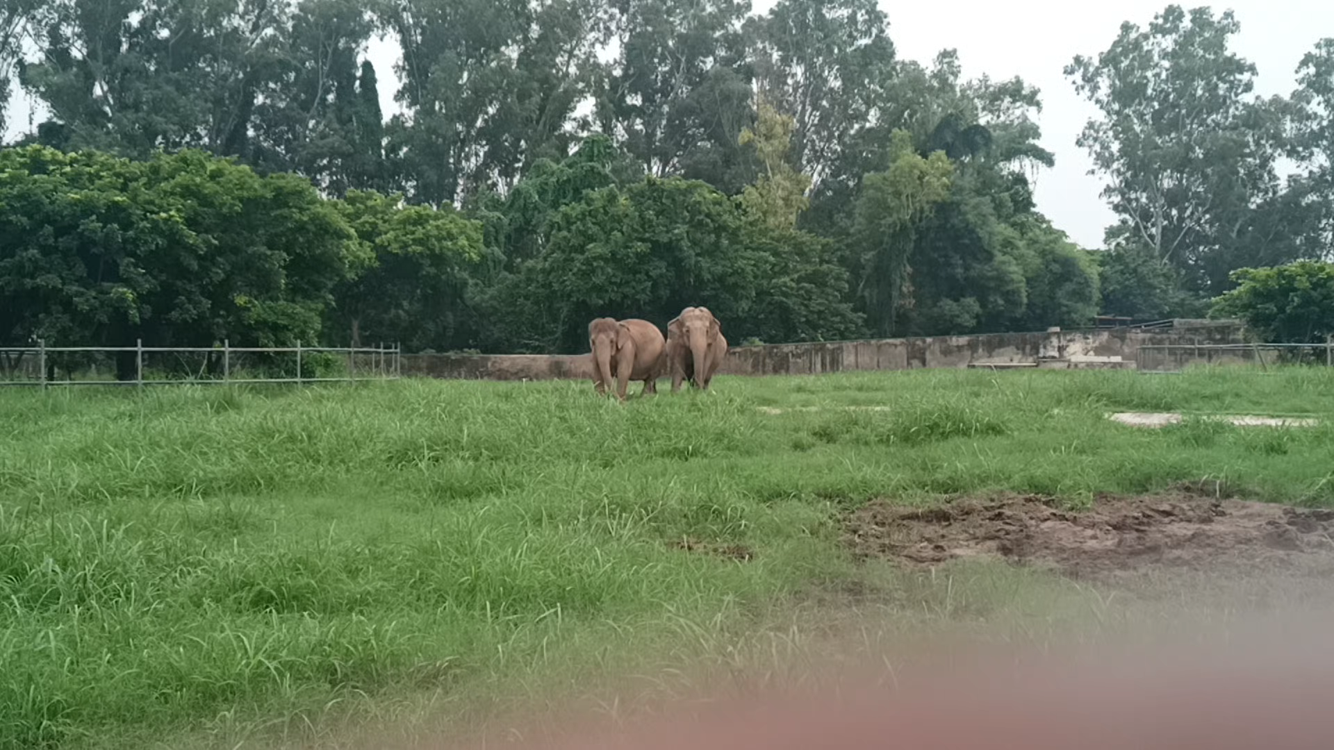 Unique EduComp Institute #kalka #pinjore Kalka #zoo
