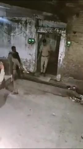 बिजनौर: बिजनौर के शेरकोट में गुलदार का रेस्क्यू #bijnor #bijnornews #guldar