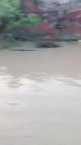 बिजनौर: Raipur khadar mein Pani ka pata jyada badhta ja raha hai na khane ke vyavastha Kamini#सिनेमा