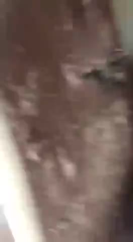 पूरे शरीर में गांठ होने पर I Pulse जूस पीने पर बहुत अच्छा रिजल्ट9590069007