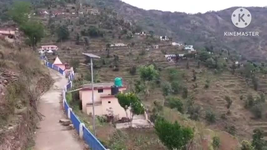 चाकीसैण: ग्राम सभा कोटली के अंतर्गत आने वाले ग्राम मोल्ठा में गुलदार की दहशत, गुलदार ने भरी दोपहर मवेशी को बनाया अपना निवाला