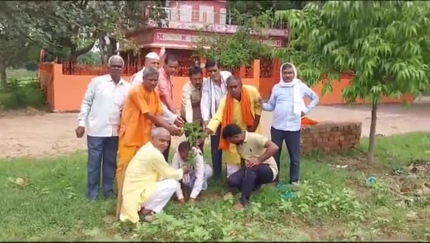 उंटारी रोड: स्वतंत्रता दिवस के उपलक्ष्य में भाजपा कार्यकर्ताओं ने किया फलदार पौध रोपण।
