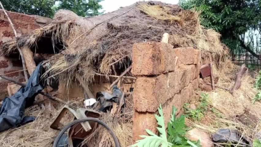 ନିହାଲପ୍ରସାଦ: ବରଦା ଗ୍ରାମରେ ମନୋଜ ସାହୁଙ୍କ ଘର ଭାଙ୍ଗି ଚାଉଳ ଖାଇବା ସହ ଆସବାବପତ୍ର ନଷ୍ଟ କଲା ଜଙ୍ଗଲି ହାତୀ