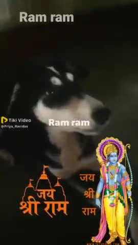 #Ab to janvar bhi ram ram bolne lage 
#jai shiree Ram