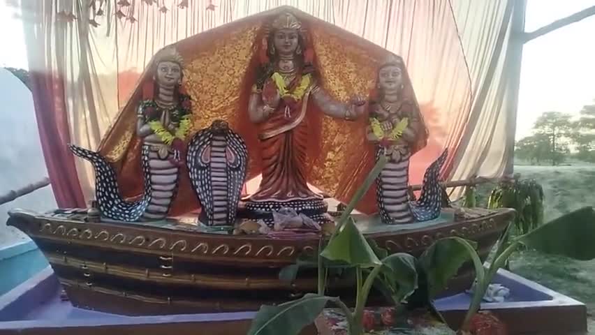 चक्की भुरकुरवा :- भव्य विशहर पूजा आयोजन दिनांक 21-08-2023 दिन सोमवार को।