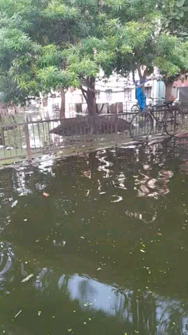 फर्रुखाबाद: काशीराम कॉलोनी 



#farrukhabad_district