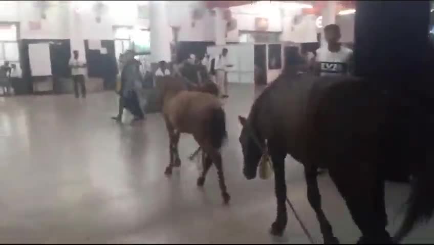 कानपुर सेंट्रल स्टेशन पर यात्रियों की जगह घोड़े को टहलते हुए देखा गया
#kanpurcentralstation
#cnb #railways #rpf #upcmo