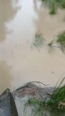 sikarahana Nadi lauriya ke pass se jo jati hai khatre ke nishan ko par krne Vali hai