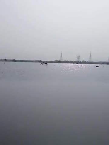 बख्शी का तालाब: #कथवारा में #भारी बाढ़ सकड़ो बीघे खेत जलमग्न लाखों रुपयों की फसल नष्ट #
