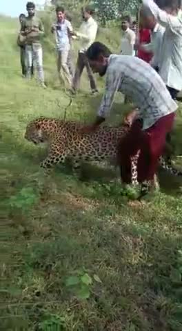 ऐसी लापरवाही ना करें #guldar