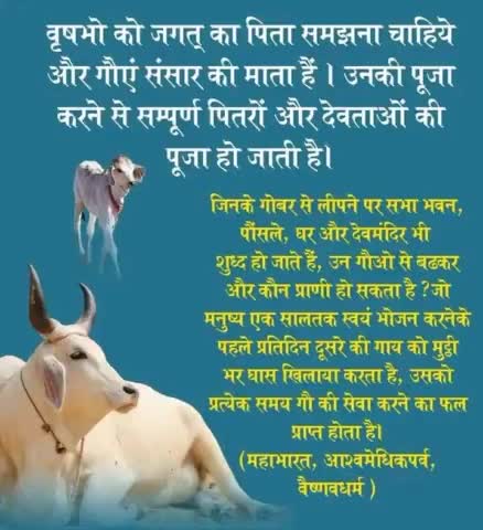 प्रदेश के सभी किसान भाई प्रार्थना करो, #गौशाला जाओ घर में करो,राजस्थान प्रदेश वासियों को सूचना,आज धरती माँ को गले गले तक पूजनीय गौ वंशों का खून पिलाया जा रहा है तो पानी की जरूरत कहाँ है कड़वा है परंतु सत्य। गो रक्षा हिंदू दल #राजस्थान
