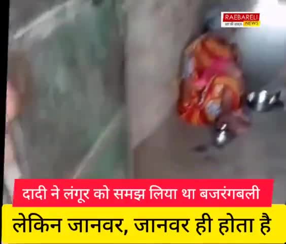 दादी ने लंगूर को समझ लिया था बजरंगबली फिर देखिए क्या हाल हुआ?
कृपया सावधान रहें सतर्क रहें
#viral_news