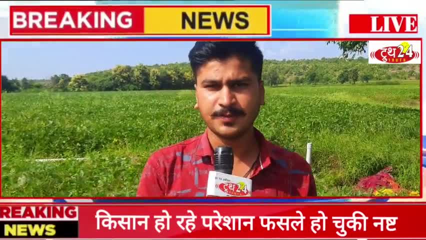गंधर्वपुरी में सोयाबीन फसलों के नष्ट होने पर नाराज किसानो ने सरकार से की राहत राशी की माग