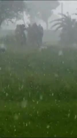 टोंक कलां में मुस्लिम समाज ने बाग रसोई के दौरान नमाज अदा की ओर बारिश और नमाज का ये सुंदर वीडियो #dewas #tonkkalan #mp41