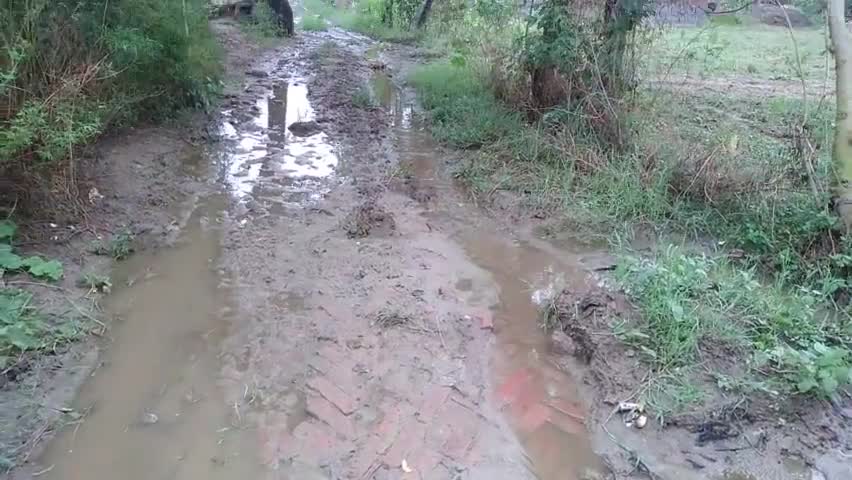 नगला रघोल की गली मे पानी भरने से सभी लोग हो रहे परेशान कोई कार्यवाही नही हो रही  है #pardhan #जी20