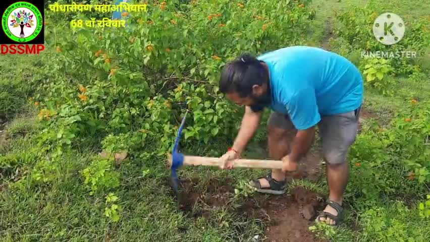 पर्यावरण प्रेमीयों ने टीम डीएसएस के पौधारोपण महाअभियान के 68 वाँ रविवार में सामिल हुए#dss mp