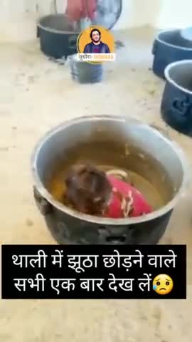थाली में झूठा छोड़ने वाले
सभी एक बार देख लें😥

#सुधीरा #sudhiraa