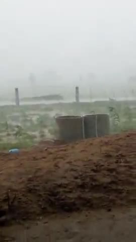 #Barish #newstoday 
Delari गांव में हुई खतरनाक बारिश ।। बाजरे में भी हुआ भारी नुकसान