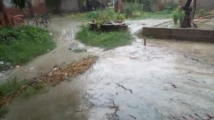 घोसी एवं मधुबन क्षेत्र में हुई एक घंटे तक मूसलाधार बारिश किसानों के खिले चेहरे धान की फसल को मिली राहत