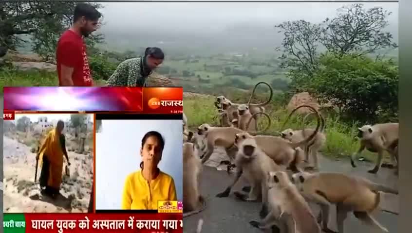 #राम भक्त वानर की कृपा रही जिससे#चित्तौड़गढ़ के माता और बहनों को#रोजगार और आत्मनिर्भर बनाने में कामयाब रही सुनीता शर्मा