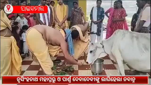 ପାଇକମାଳ: ନୃସିଂହନାଥ ମହାପ୍ରଭୁ ଓ ପାର୍ଶ୍ୱ ଦେବାଦେବୀଙ୍କୁ ଲାଗିହେଲା ନବାନ୍ନ, ମନ୍ଦିରରେ ଭକ୍ତଙ୍କ ପ୍ରବଳ ଭିଡ