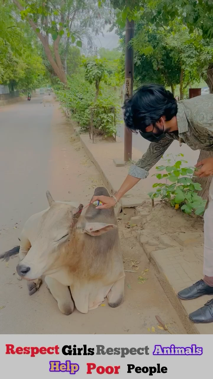 ग्वालियर गिर्द: हम अपने बच्चों को जो सिखाएंगे, वे वैसा ही करेंगे। 
बच्चों को शिक्षा अवश्य दिलायें। 🙏🏻 
#apsgurjar #help #cow #supportinghandsfoundation