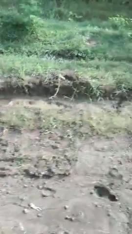 धनोरा/गंगा टोला से सुआडोंग्री मार्ग में अधिक कीचड़ होने से आने जाने में हो रही परेशानी ग्रामीणों का कहना रोड नही तो बोट