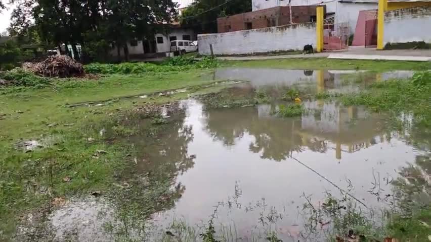 गोगरी: भोजुआ वार्ड नंबर 15 
गोगरी जमालपुर
#gogrijamalpur 
#bhojuaa