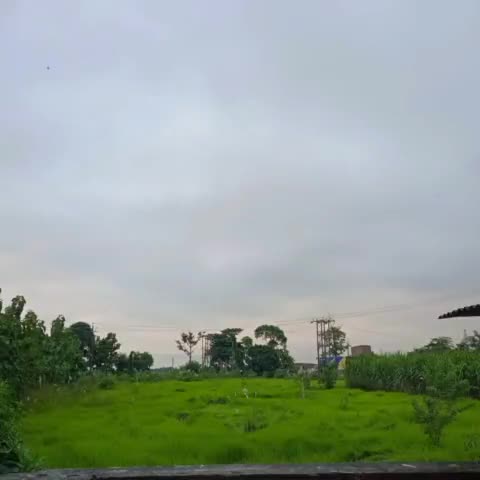 #eastchamparan#vishunpurmatiarwa#rain#shortsvedio