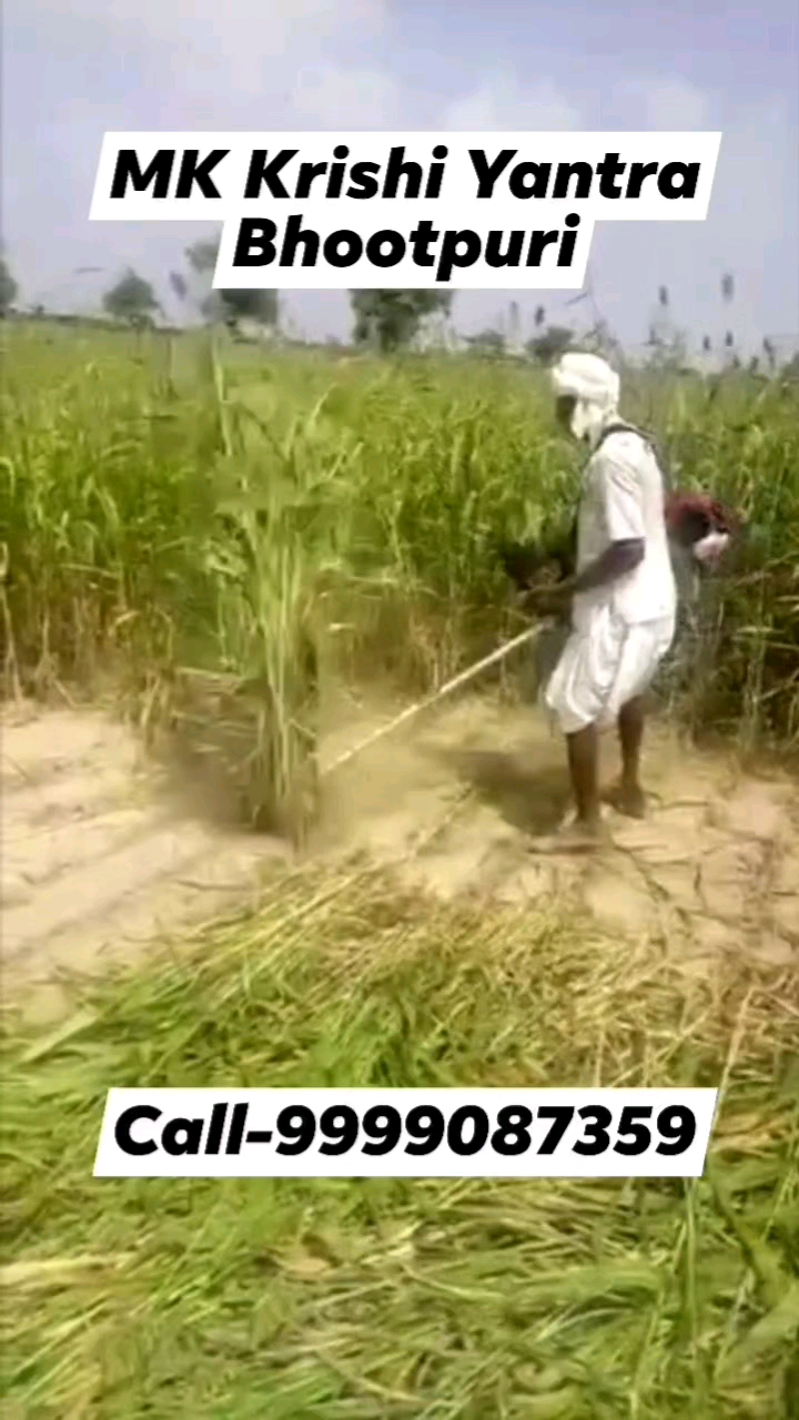 A #millet_cutter, also known as a millet thresher or millet #harvesting #machine, is a piece of #agricultural #equipment