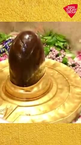 सचिन तेंदुलकर ने काशी विश्वनाथ मंदिर में की पूजा, सुनील गावस्कर, कपिल देव और जय शाह भी रहे मौजूद #sachintendulker #k#
