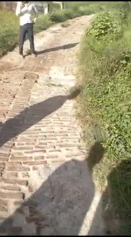 खजनी ब्लॉक - ग्राम सभा सहसी टोला (बंगला) पुर्व बिधाय ब्लॉक प्रमुख ग्राम प्रधान हो या बर्तमान के हो  रोड़ नहीं बना आज तक!