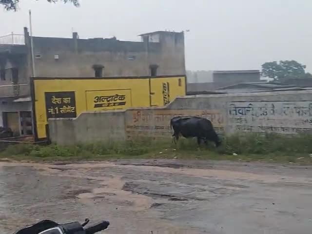 छत्तीसगढ़ के कुसमी में हो रही दो दिन से लगातर तेज बारिश मौसम खुलने का नाम नहीं 🙏# baarish #reportcrime #news_express #